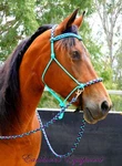Earthhorse Equipment Bitless Bridle/reins Set, "northern Lights". Fixed Price $101.61.